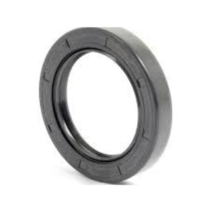 Oil Seal / Radial Shaft Seal